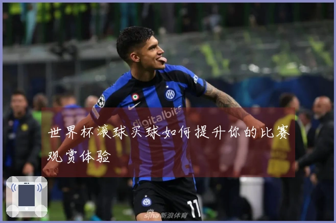 世界杯滚球买球如何提升你的比赛观赏体验