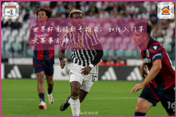 世界杯竞猜新手指南：如何入门享受赛事乐趣