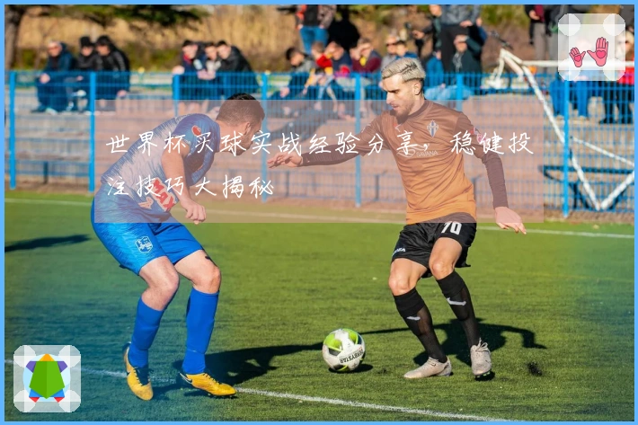 世界杯买球实战经验分享，稳健投注技巧大揭秘