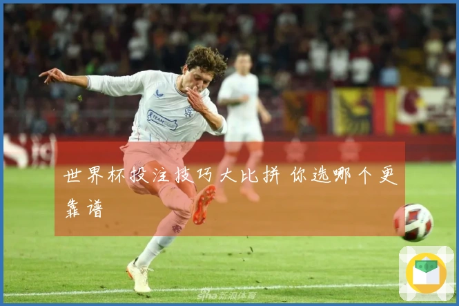 世界杯投注技巧大比拼 你选哪个更靠谱