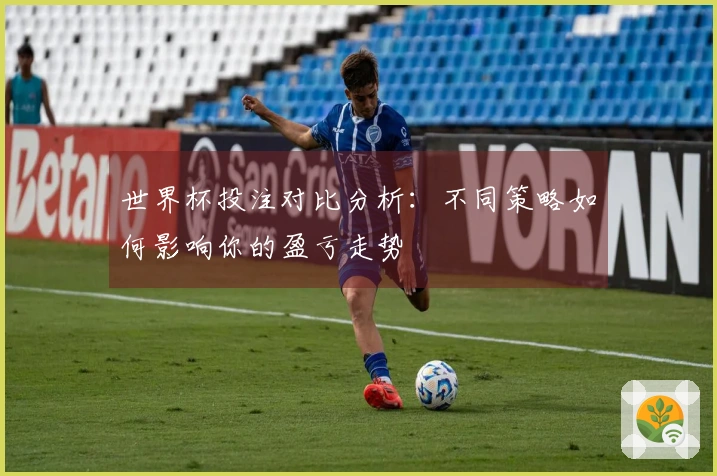 世界杯投注对比分析：不同策略如何影响你的盈亏走势