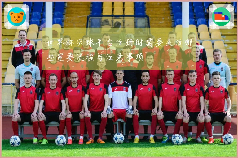 世界杯买球平台注册时需要关注哪些重要流程与注意事项