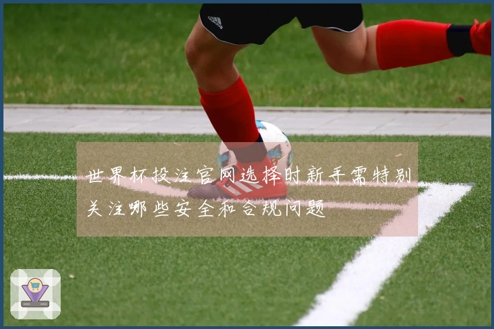 世界杯投注官网选择时新手需特别关注哪些安全和合规问题