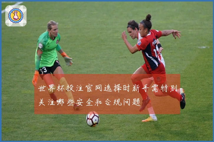 世界杯投注官网选择时新手需特别关注哪些安全和合规问题