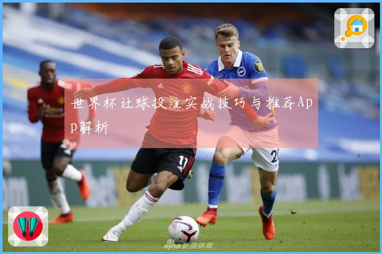 世界杯让球投注实战技巧与推荐App解析
