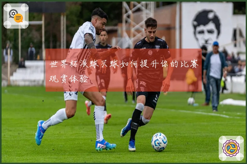 世界杯滚球买球如何提升你的比赛观赏体验