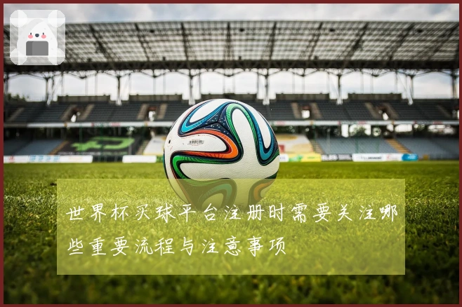 世界杯买球平台注册时需要关注哪些重要流程与注意事项