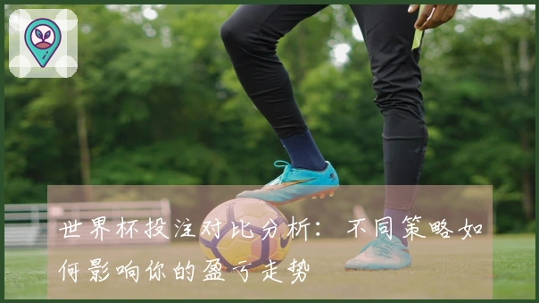世界杯投注对比分析：不同策略如何影响你的盈亏走势