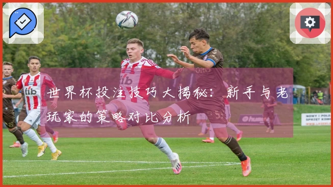 世界杯投注技巧大揭秘：新手与老玩家的策略对比分析