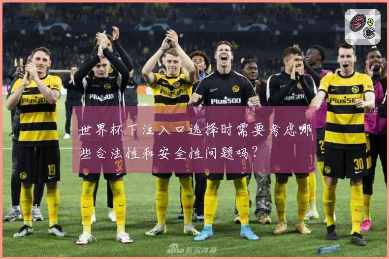 世界杯下注入口选择时需要考虑哪些合法性和安全性问题吗？