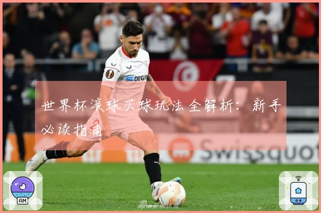 世界杯滚球买球玩法全解析：新手必读指南