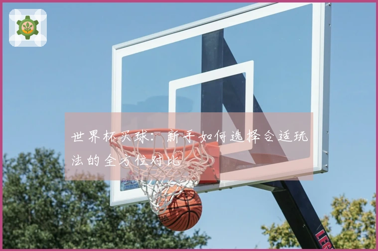 世界杯买球：新手如何选择合适玩法的全方位对比