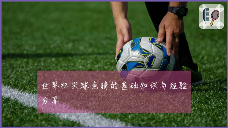 世界杯买球竞猜的基础知识与经验分享