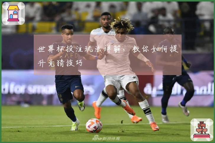 世界杯投注玩法详解，教你如何提升竞猜技巧