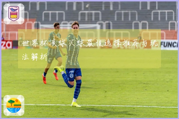 世界杯滚球买球最佳选择推荐与玩法解析