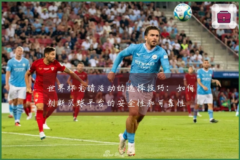 世界杯竞猜活动的选择技巧：如何判断买球平台的安全性和可靠性