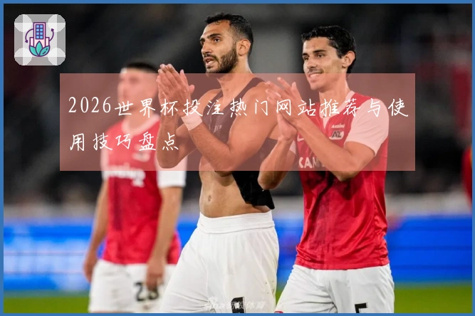 2026世界杯投注热门网站推荐与使用技巧盘点